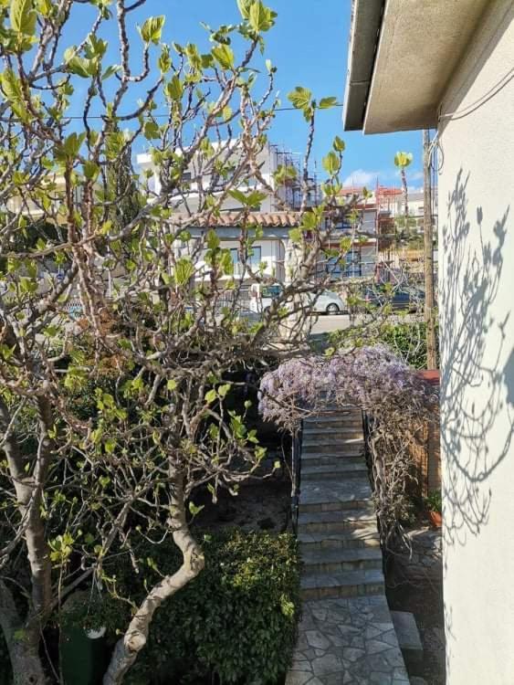 Guest House Sunce Нови Винодолски Екстериор снимка